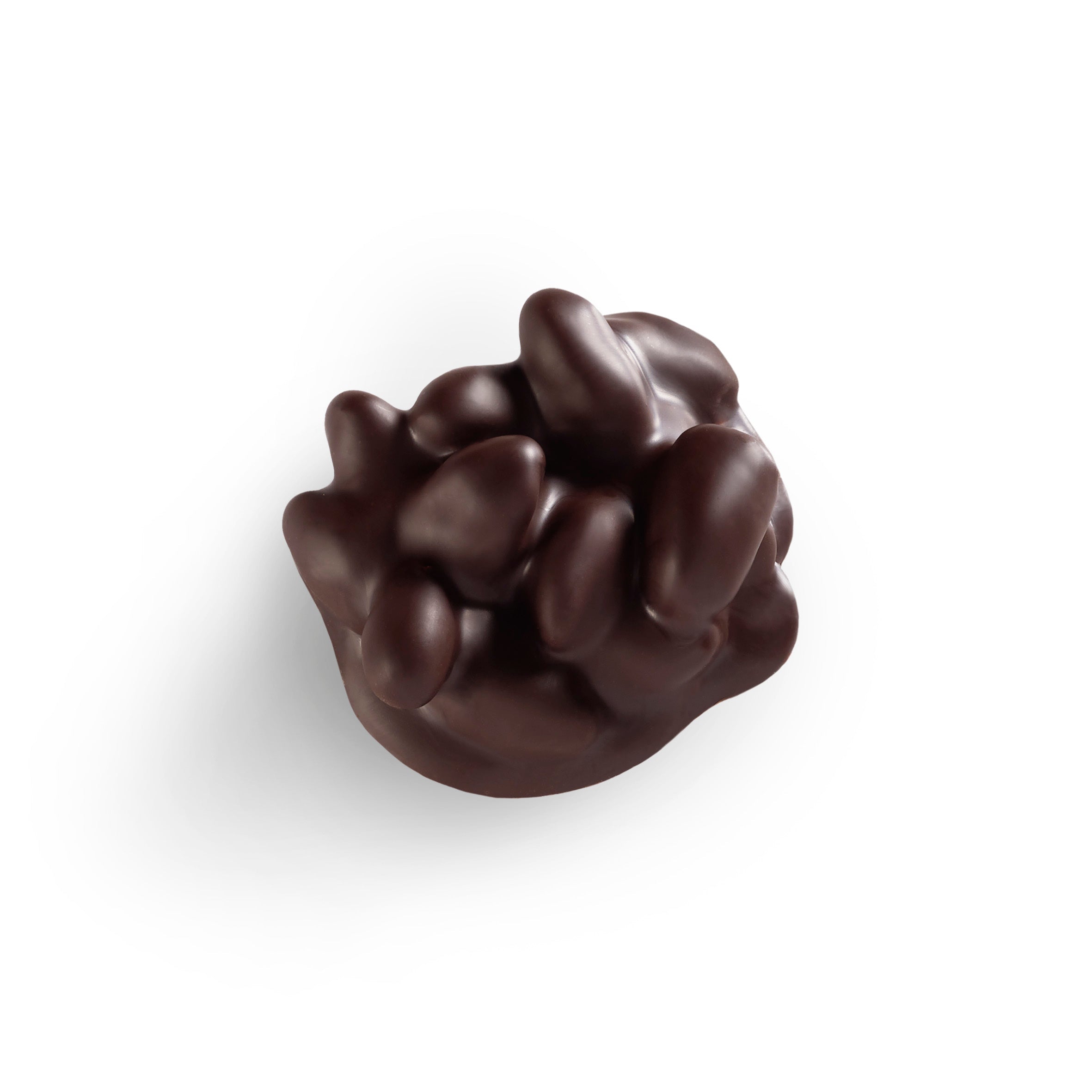 Roche Chocolate