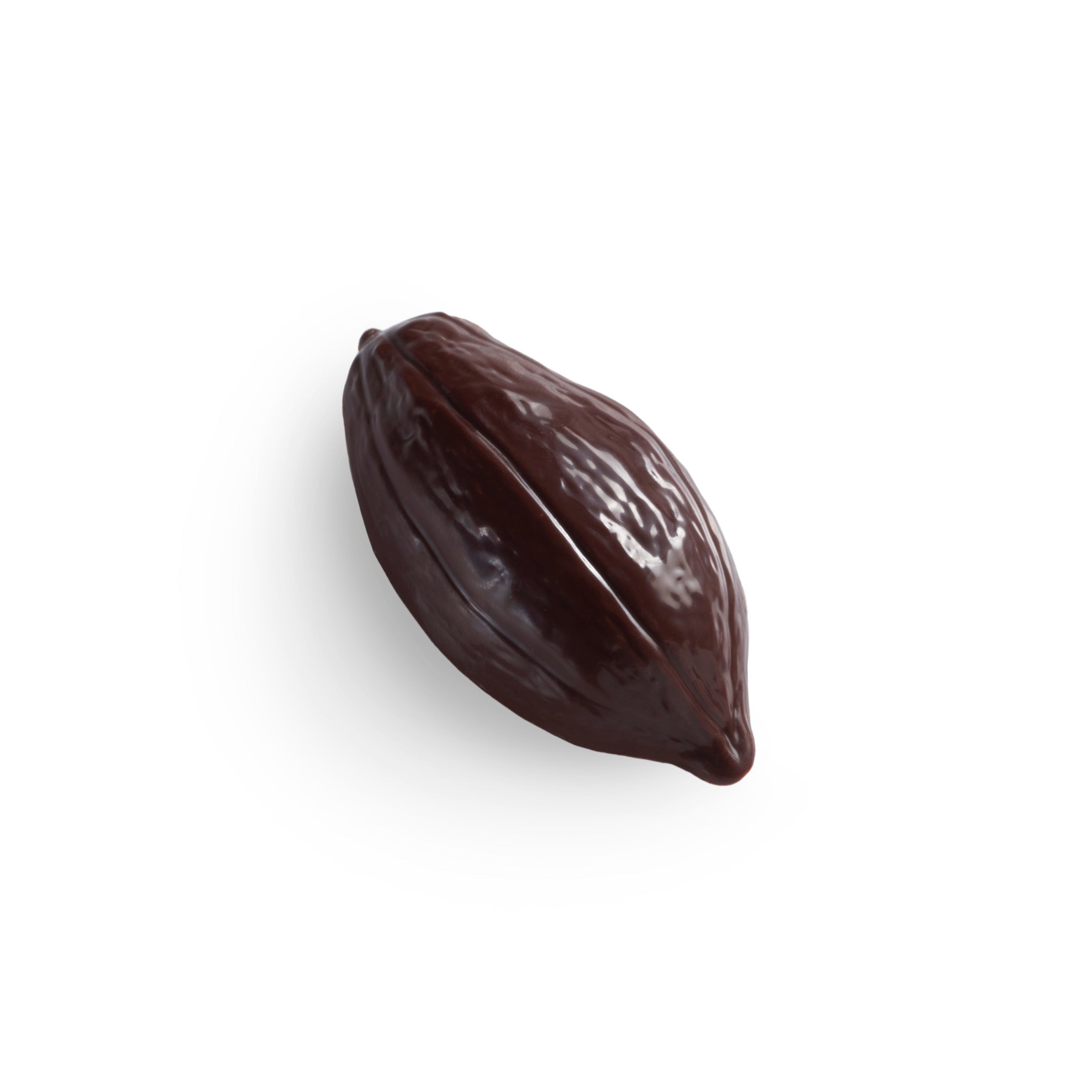 Cacao Pod Dark