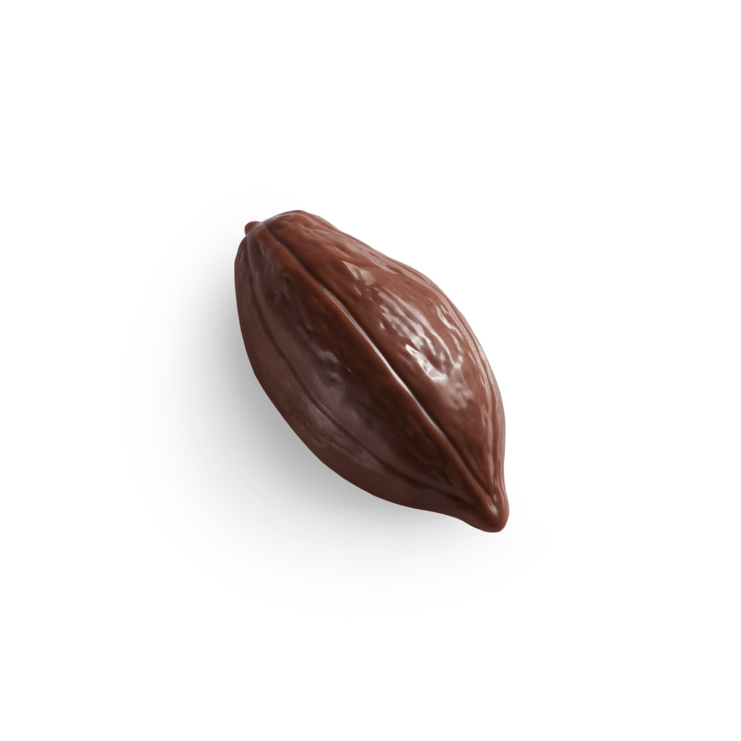 Cacao Pod Milk