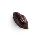 Cacao Pod Sugar Free